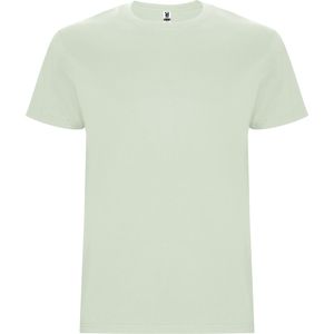 Roly CA6681 - STAFFORD Tubular short-sleeve t-shirt MIST GREEN