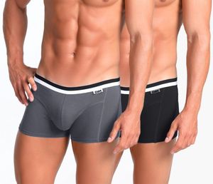 DIM D05H2 - Boxers DIM BASIC x2