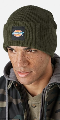 Dickies DK0A4XRY - EVADALE beanie (DT8003)