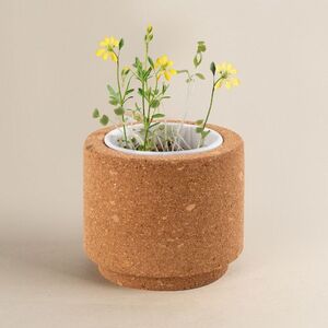 EgotierPro 53531K - Cork Pot with Wild Flower Seeds LUWA